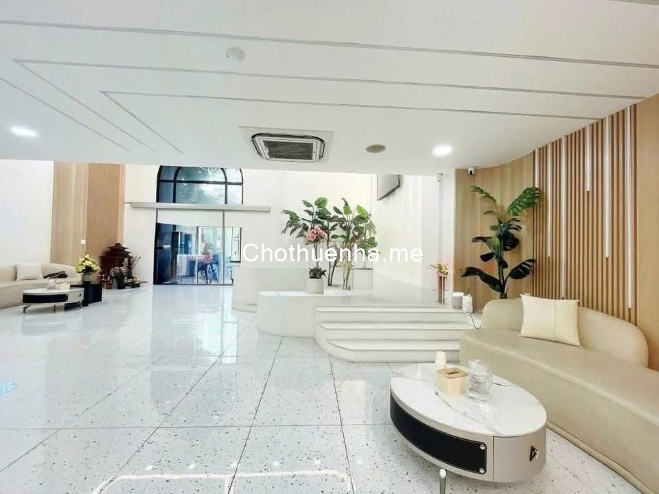 Cho Thuê Mặt Tiền Lương Hữu Khánh Q1 – 10x20m | Trệt 2 Lầu | Vị Trí Kinh Doanh Đắc Địa