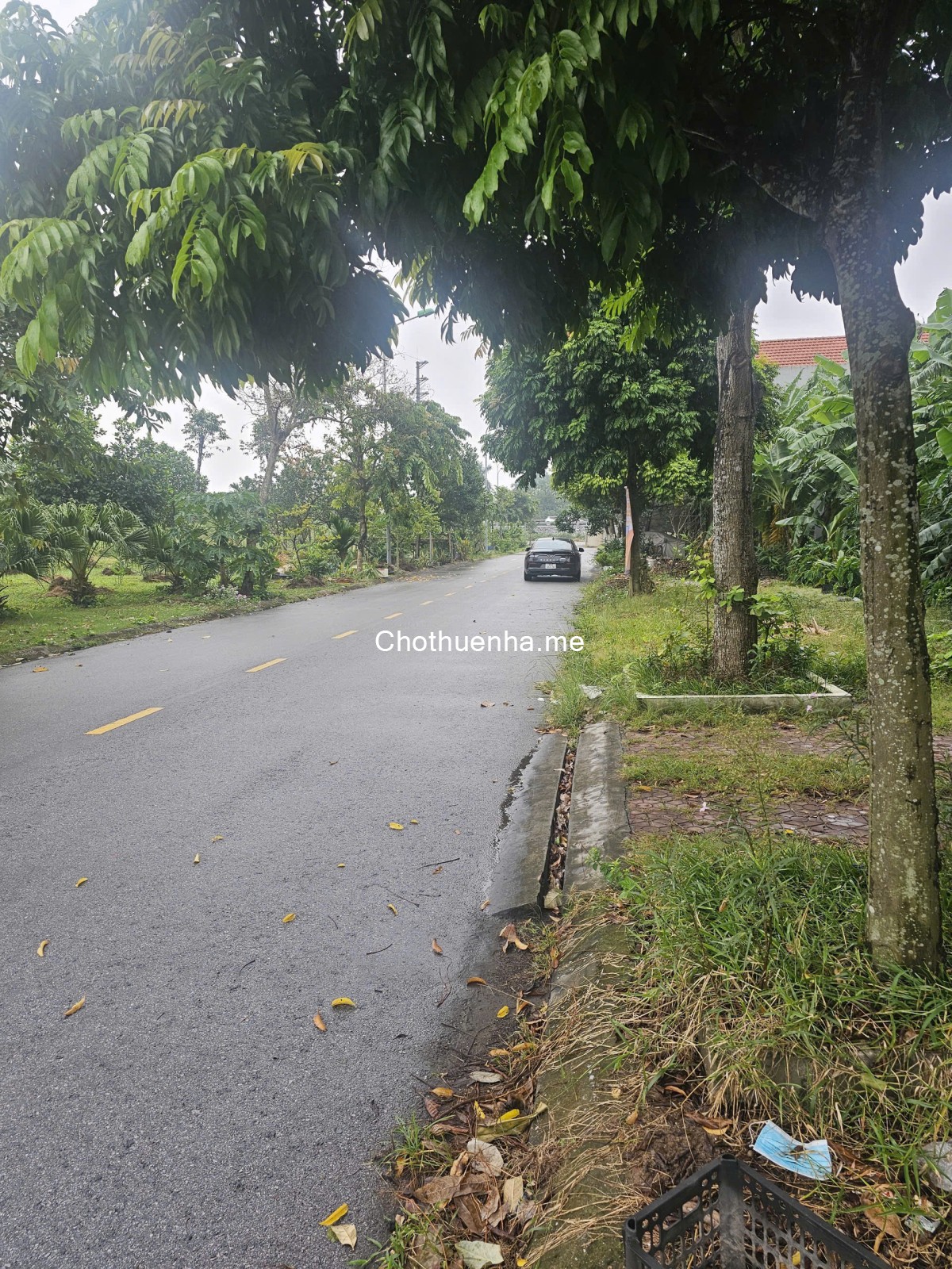 Bán nhanh lô đất 90m2, vị trí đẹp tại Phường Nhị Châu, TP Hải Dương.