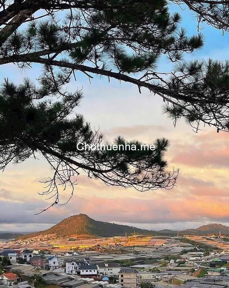 Cho thuê quán Cà phê và Homestay 45 triệu/tháng Hùng Vương phường 11 Đà Lạt